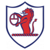 https://img.jsteyb.com/img/football/team/11fb72f7b5eacfc881ee11bac75871fa.png